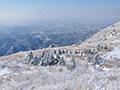 무등산 중봉에서 본 서쪽 능선 겨울 전경 썸네일 이미지