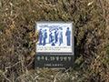 1960년 4월 19일 4월 혁명에 참가한 광주고등학교 학생들 썸네일 이미지