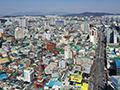 유동 썸네일 이미지